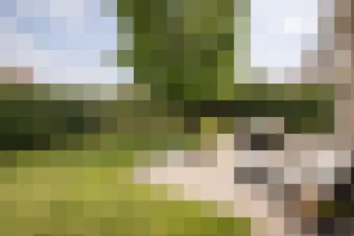 De Wieken 1 Wijdenes thumbnail 35