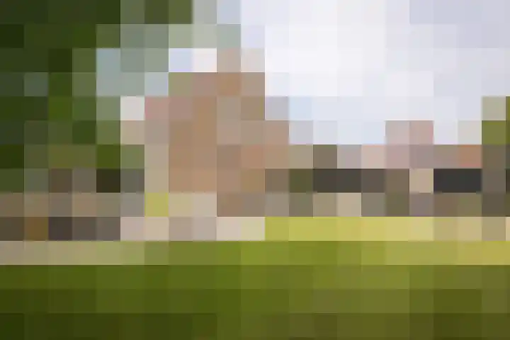 De Wieken 1 Wijdenes thumbnail 37