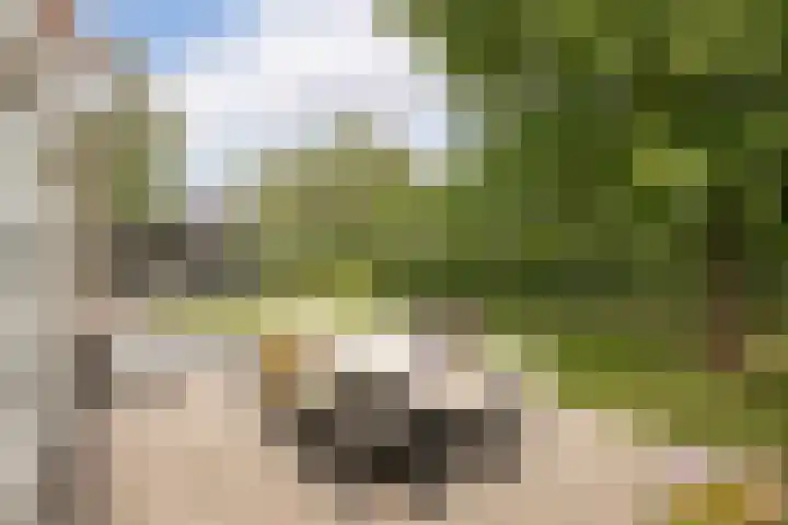 De Wieken 1 Wijdenes thumbnail 38