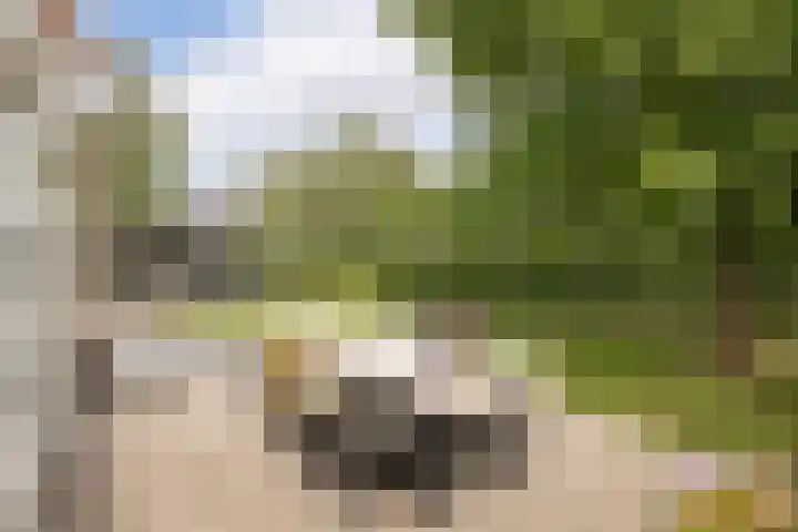 De Wieken 1 Wijdenes thumbnail 4