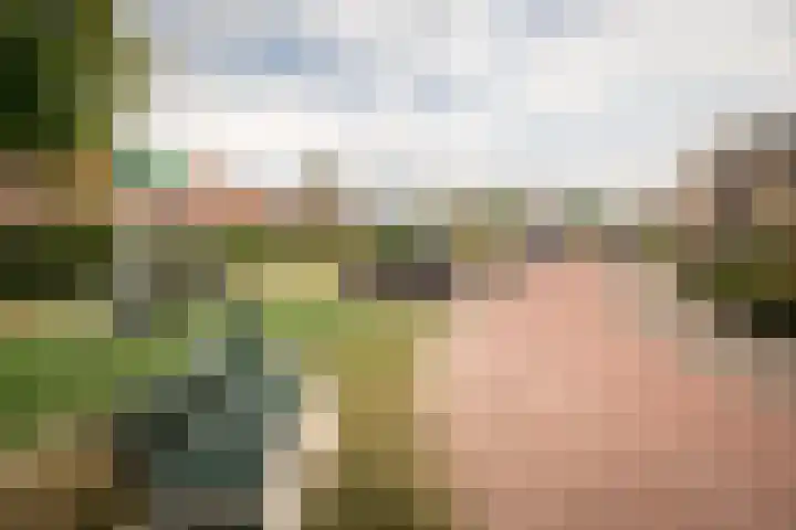 De Wieken 1 Wijdenes thumbnail 42
