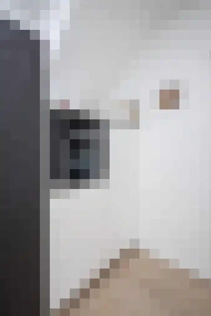 De Wieken 1 Wijdenes thumbnail 45