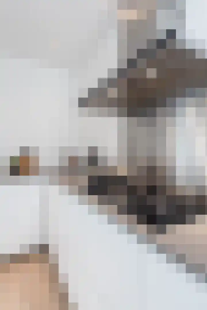 De Wieken 1 Wijdenes thumbnail 46