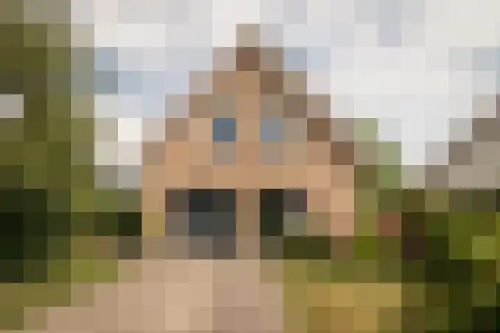 De Wieken 1 Wijdenes thumbnail 5