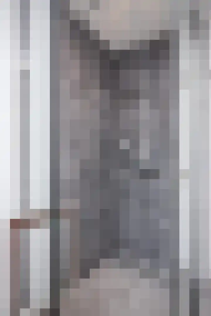 De Wieken 1 Wijdenes thumbnail 50