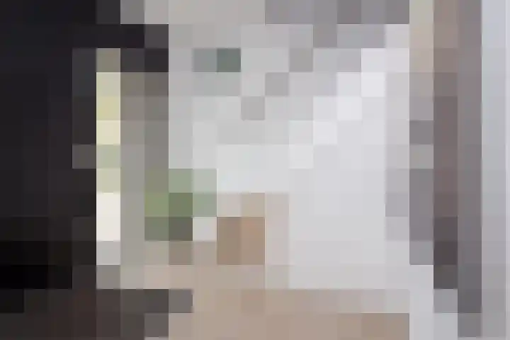 De Wieken 1 Wijdenes thumbnail 6