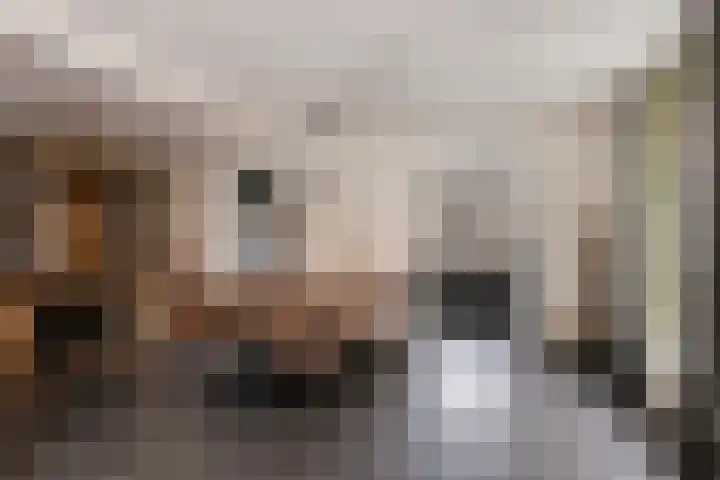 de Wieken 10 Lieshout thumbnail 14