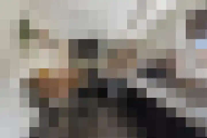 de Wieken 10 Lieshout thumbnail 16