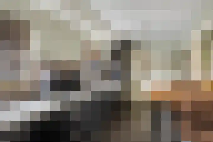 de Wieken 10 Lieshout thumbnail 17