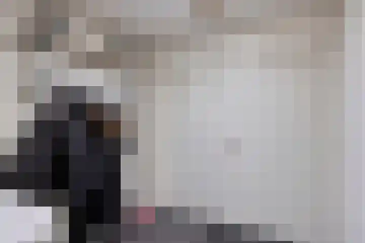 de Wieken 10 Lieshout thumbnail 20
