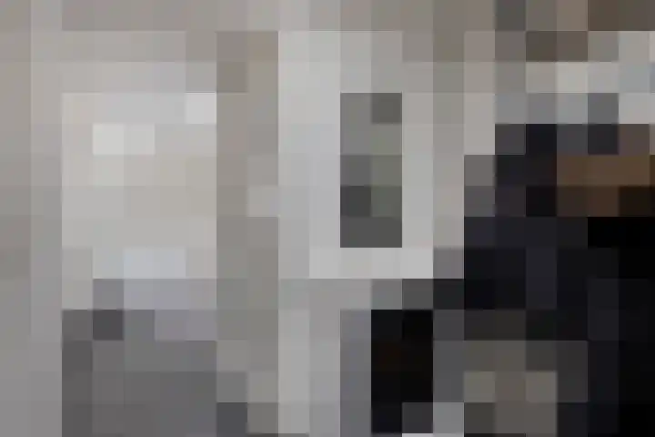 de Wieken 10 Lieshout thumbnail 21