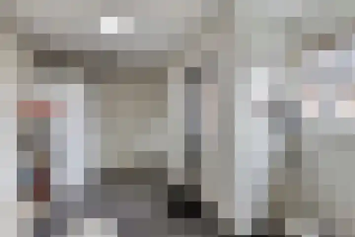 de Wieken 10 Lieshout thumbnail 22