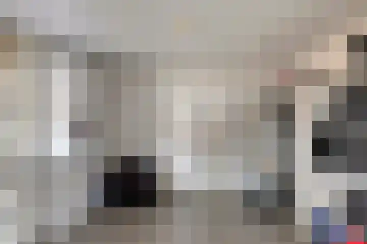 de Wieken 10 Lieshout thumbnail 25