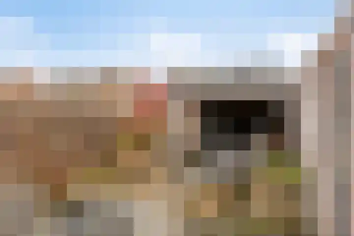 de Wieken 10 Lieshout thumbnail 34