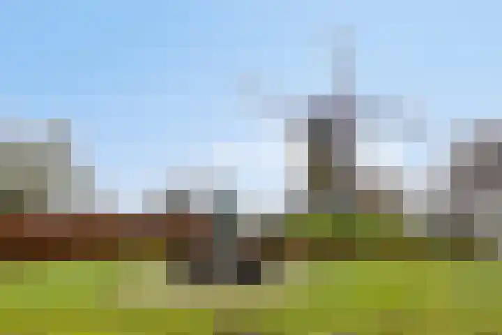 de Wieken 10 Lieshout thumbnail 37