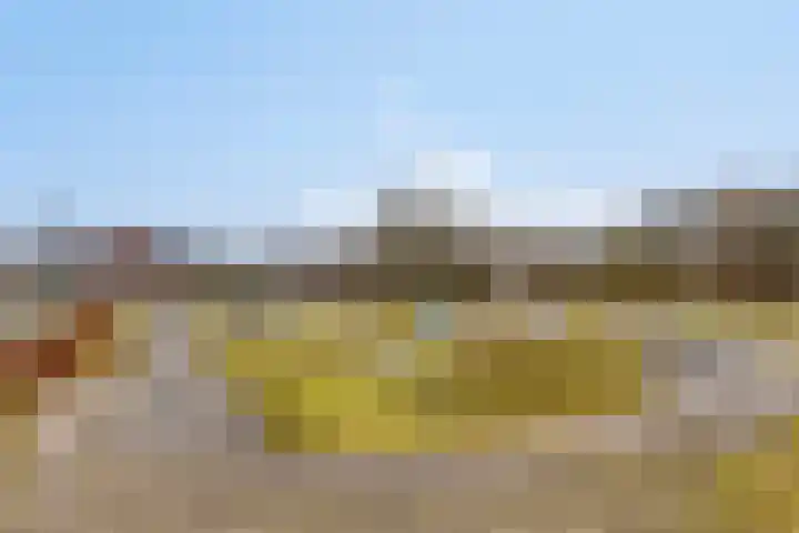 de Wieken 10 Lieshout thumbnail 38