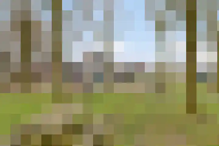 de Wieken 10 Lieshout thumbnail 40