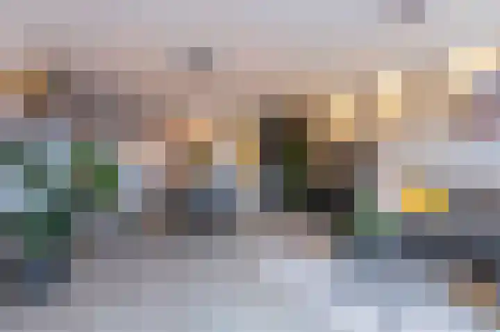 De Wieken 100 Hoorn thumbnail 11