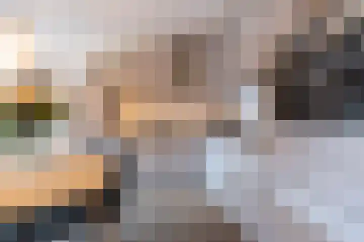 De Wieken 100 Hoorn thumbnail 12
