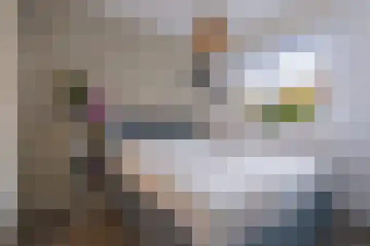 De Wieken 100 Hoorn thumbnail 15