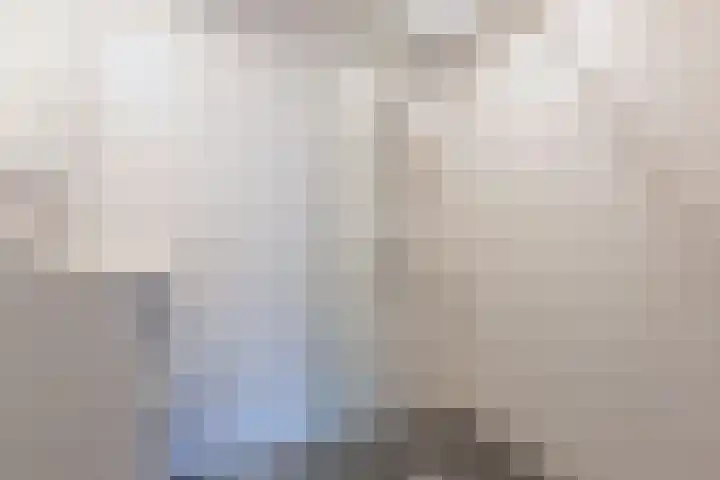 De Wieken 100 Hoorn thumbnail 17