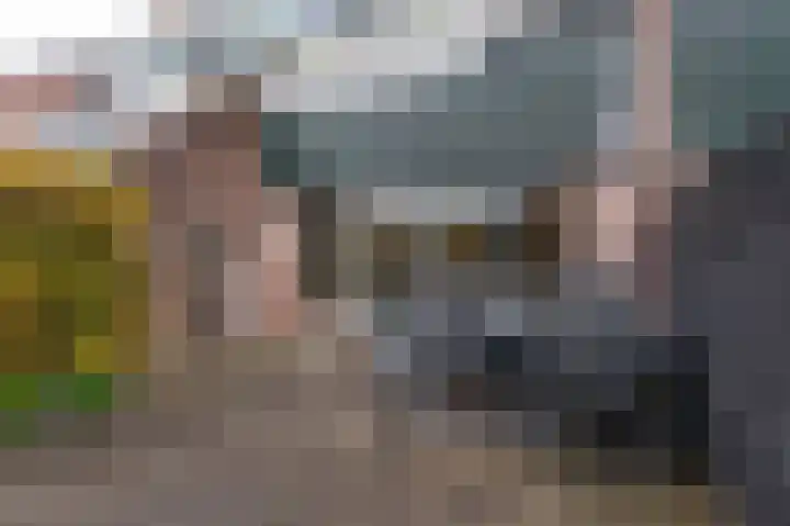 De Wieken 100 Hoorn thumbnail 23