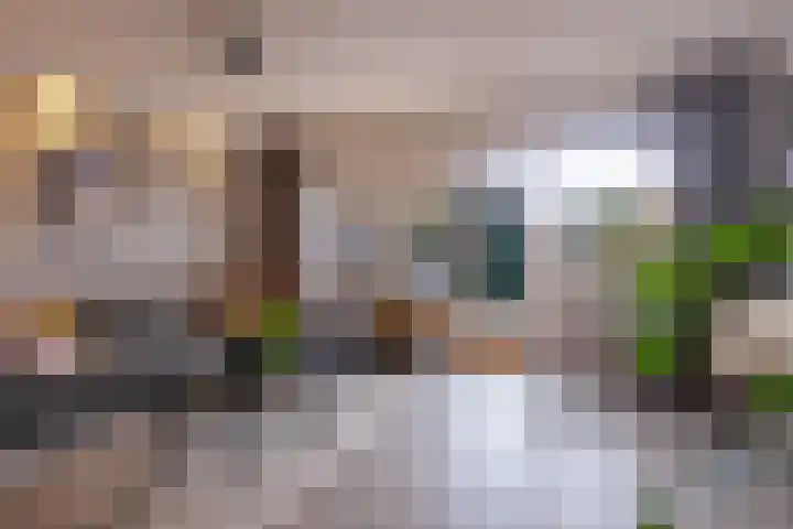 De Wieken 100 Hoorn thumbnail 7
