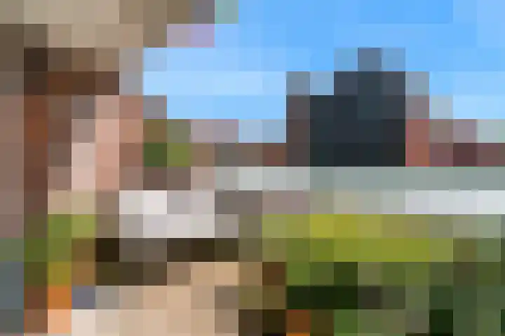 De Wieken 101 Hoorn thumbnail 11
