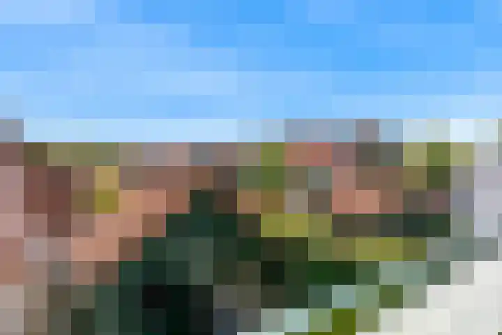 De Wieken 101 Hoorn thumbnail 14