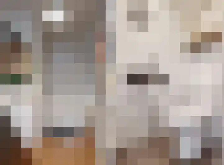 De Wieken 101 Hoorn thumbnail 15
