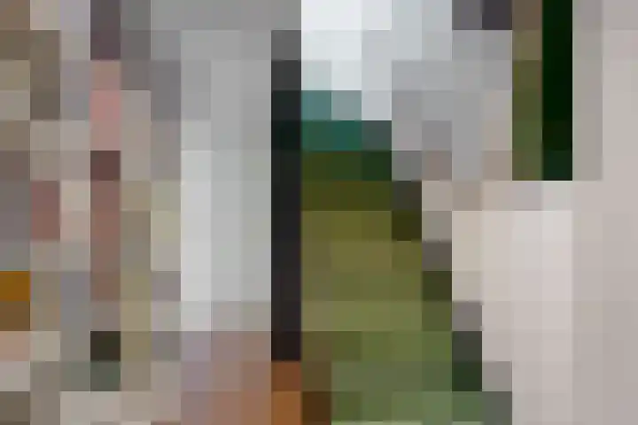 De Wieken 101 Hoorn thumbnail 16