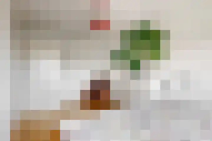 De Wieken 101 Hoorn thumbnail 18