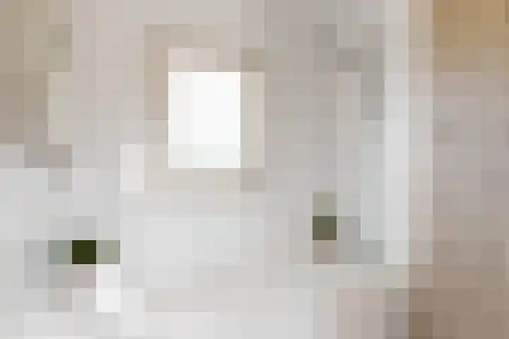 De Wieken 101 Hoorn thumbnail 20