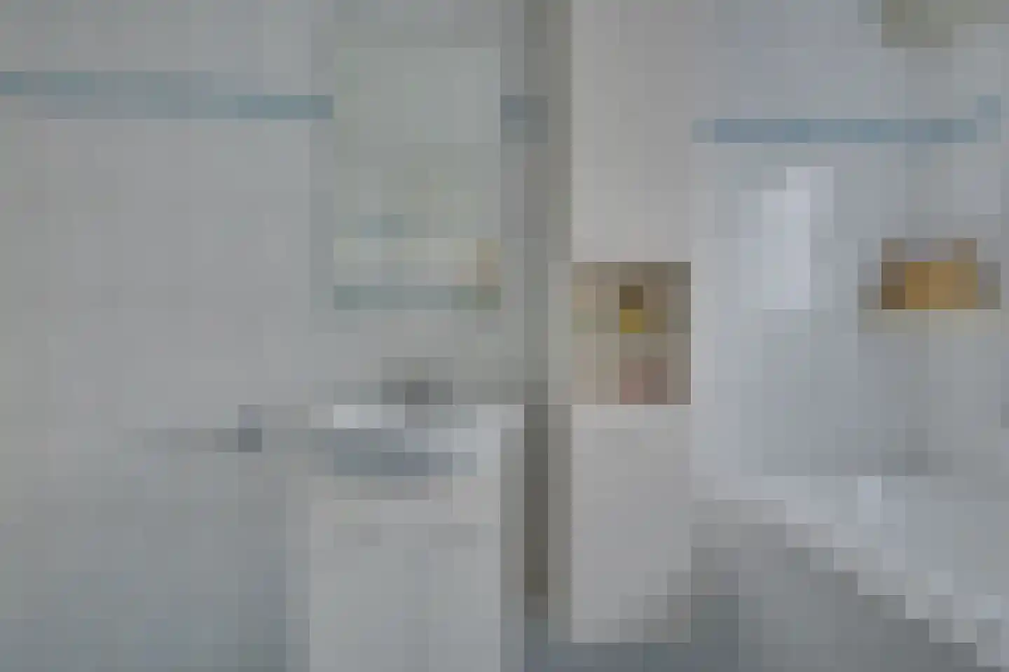 De Wieken 105 Hoorn thumbnail 26