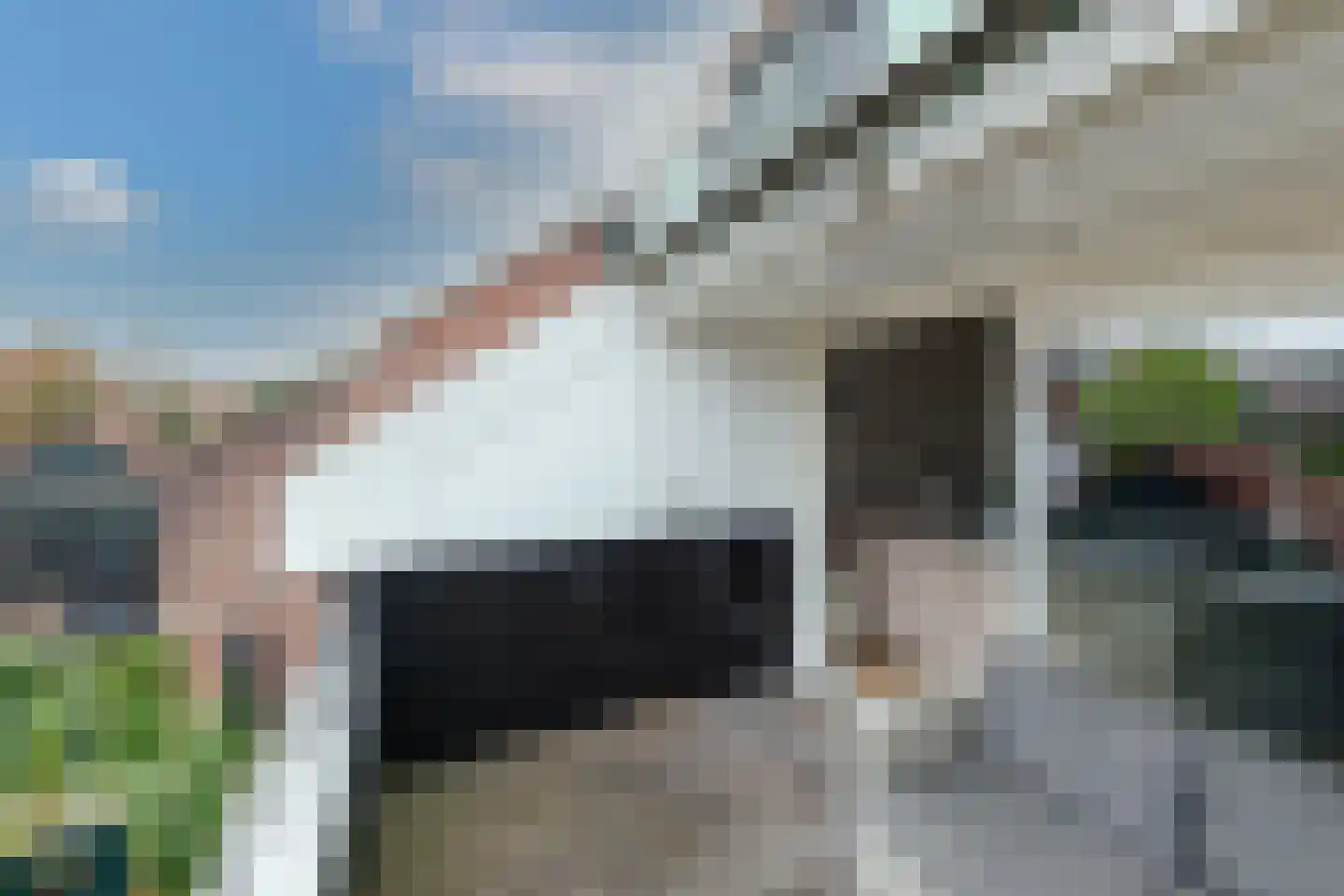 De Wieken 105 Hoorn thumbnail 35