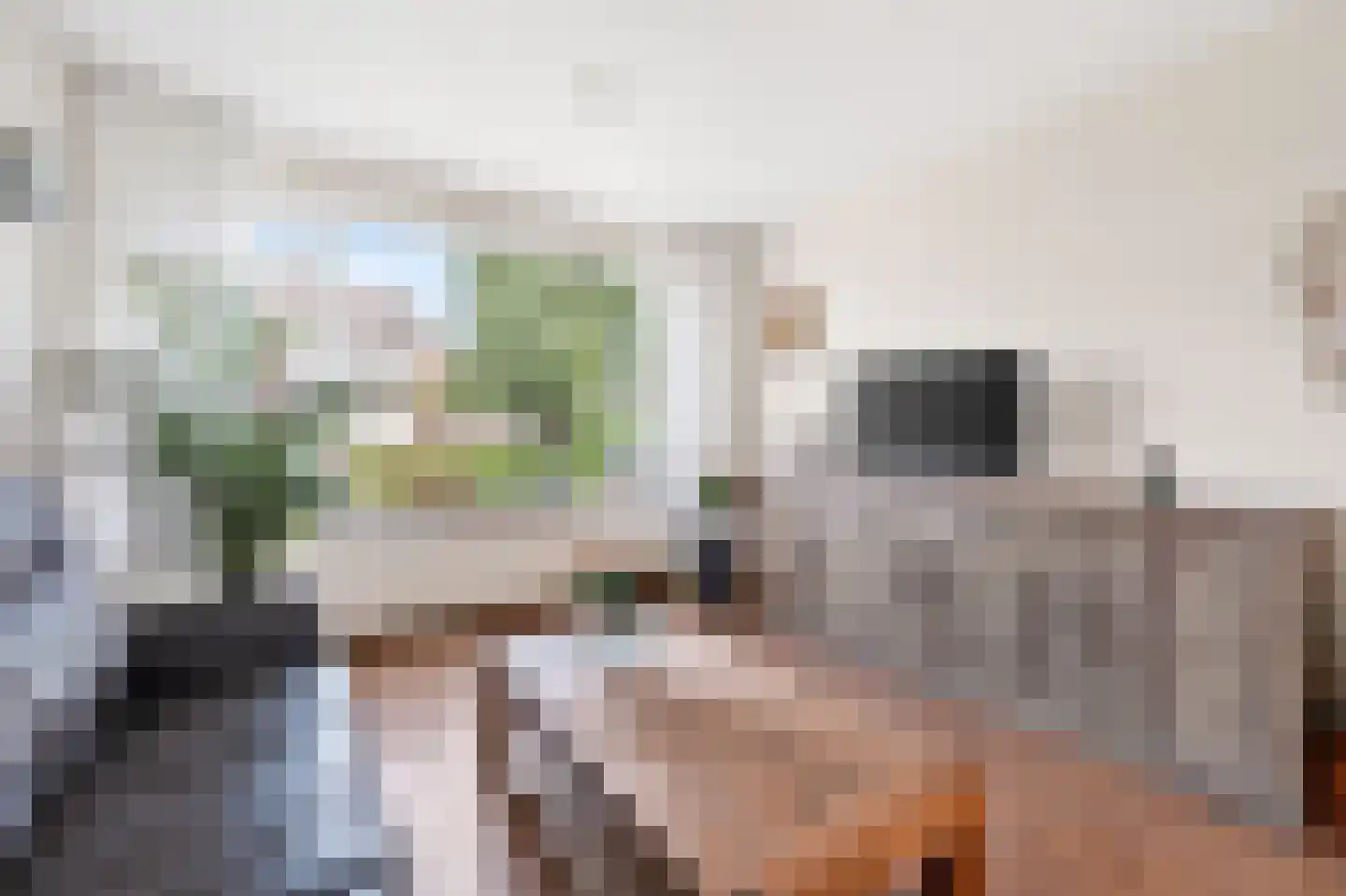 De Wieken 13 Klazienaveen thumbnail 11