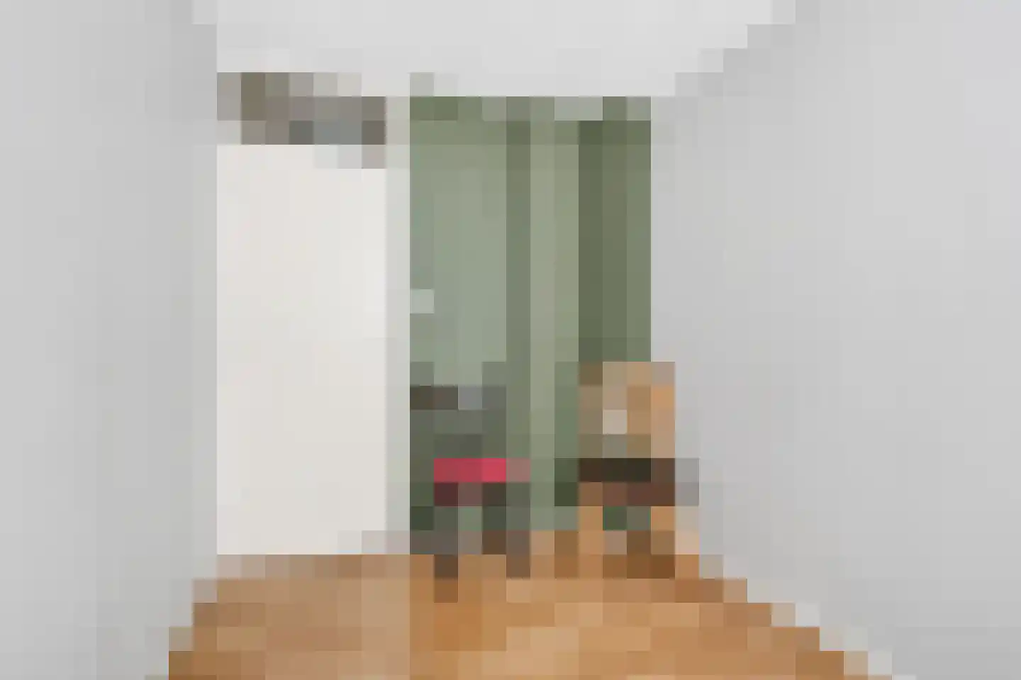 De Wieken 13 Klazienaveen thumbnail 26