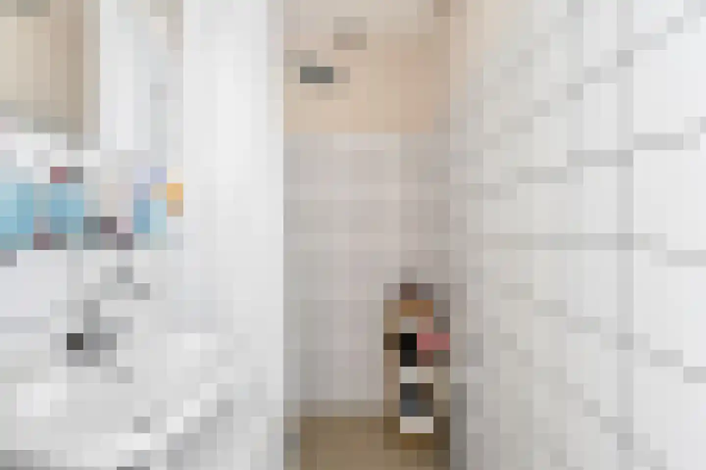 De Wieken 13 Klazienaveen thumbnail 27