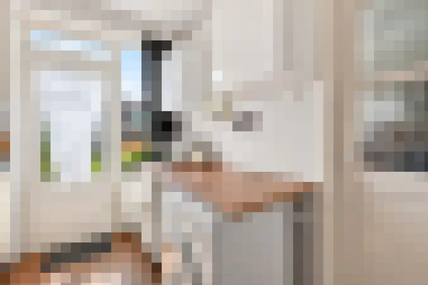De Wieken 13 Klazienaveen thumbnail 8
