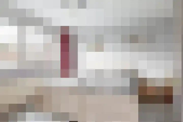 De Wieken 133 Hoorn thumbnail 14