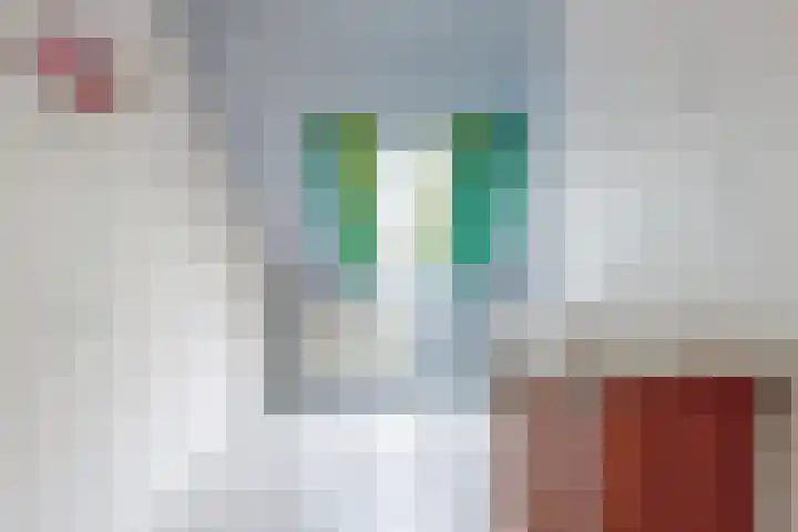 De Wieken 133 Hoorn thumbnail 21