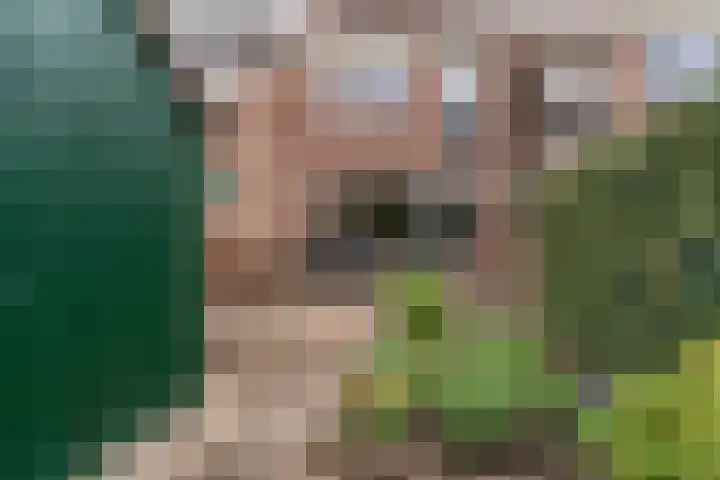De Wieken 133 Hoorn thumbnail 24