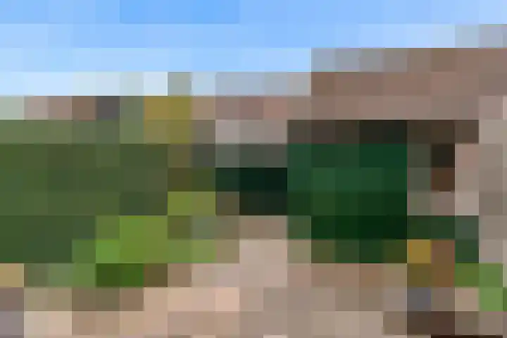 De Wieken 133 Hoorn thumbnail 25