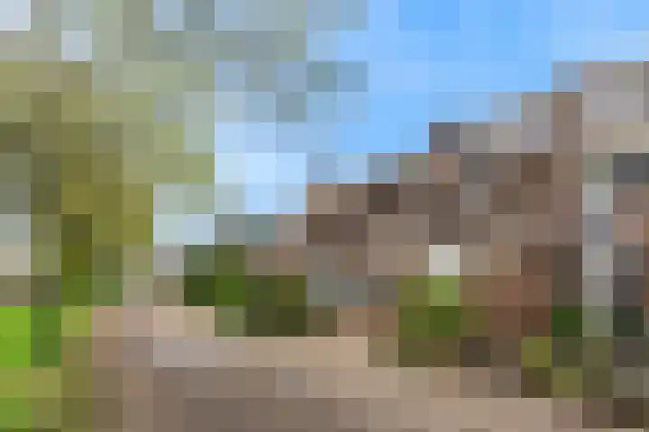 De Wieken 133 Hoorn thumbnail 29