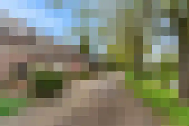De Wieken 133 Hoorn thumbnail 30