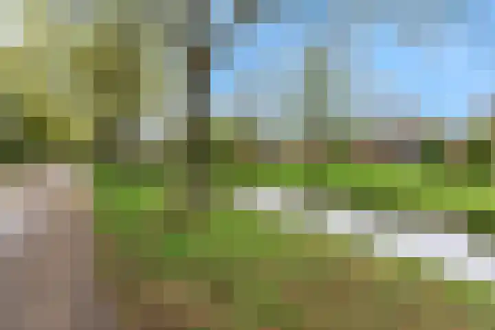De Wieken 133 Hoorn thumbnail 31