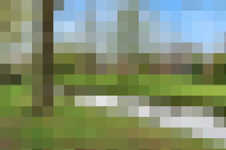 De Wieken 133 Hoorn thumbnail 32