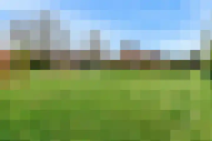 De Wieken 133 Hoorn thumbnail 33