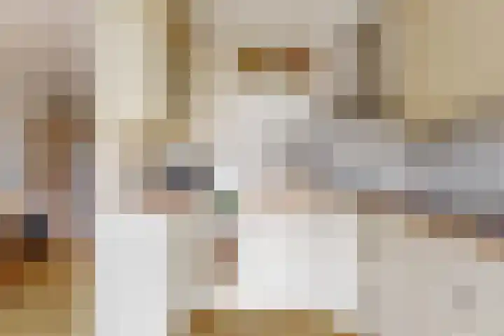 De Wieken 133 Hoorn thumbnail 6