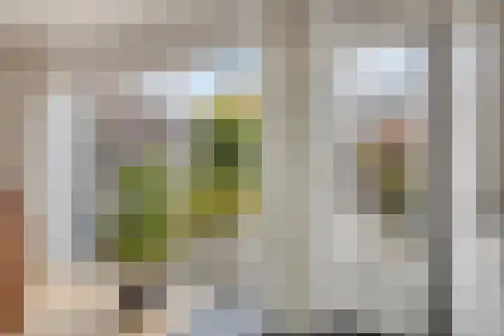 De Wieken 138 Hoorn thumbnail 10